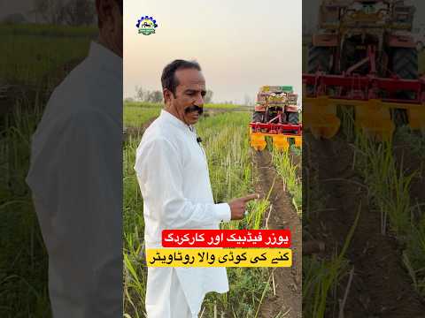 Performance & User Feedback