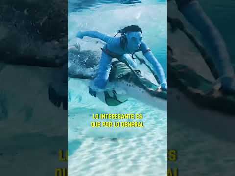 ASÍ Se Hace el AGUA CGI de AVATAR 2 😳