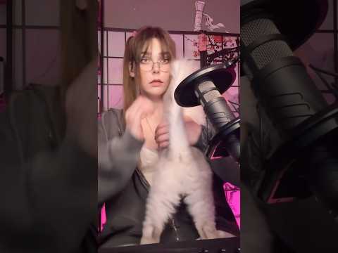 Кошка-защитница