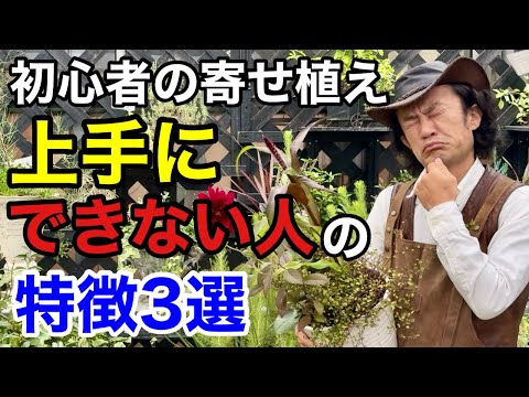 あなたの寄せ植えがたったこれだけで驚くほど綺麗に見せられます　　【カーメン君】【園芸】【ガーデニング】【初心者】