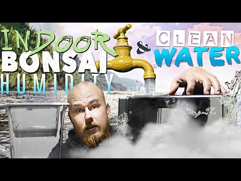 Humidifier Setup & Purified Water - INDOOR BONSAI CARE