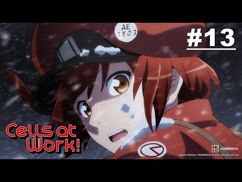 Cells at Work! Episod 13 [Malay Sub] | Muse Malaysia