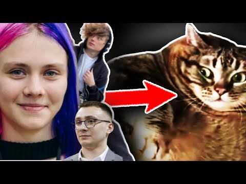 блогери як товсті коти (деякі дуже всраті)
