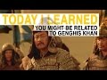 Chameleons and Genghis Khan Insights