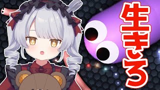 【 ゲーム配信 】この世界でミミズとして生き延びろ！！！Slither.io【 紡雲シオリ / のなめぷろだくしょん 】