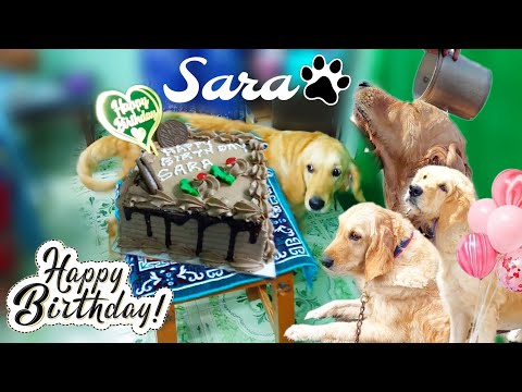 Sara's bday VLOG😻😂... #vlog #trending #viralshort