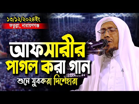 আফসারীর কন্ঠে কষ্টের গান শুনে পাগল যুবকরা | রফিকুল্লাহ আফসারী ওয়াজ ২০২৪ | bd new waz mahafil 2024