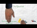 Understanding the Video Tutorial