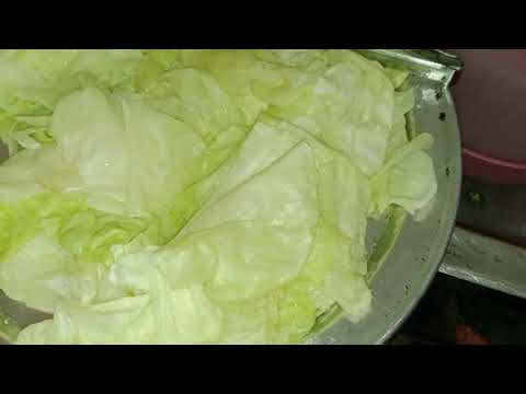 علشان هى مجنونه لازم تكونى أجن منها حيله قويه هتوفرى الغاز وبالك مرتاح 100/100