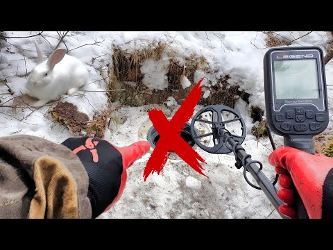 X-Finds is back!
