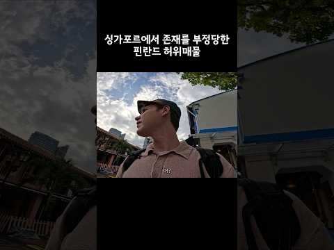 미국 허위매물 vs. 핀란드 허위매물 #레오티비