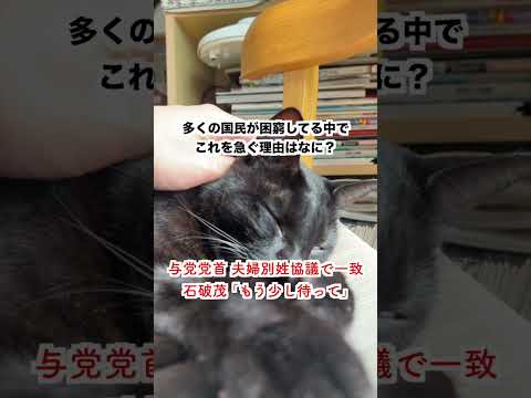 【批判殺到】公明党が石破に「夫婦別姓について協議しよう」→石破「もう少し待って」
