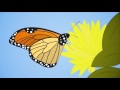 Exploring Homeostasis Concepts