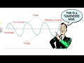 Exploring Wave Properties: Transverse and Longitudinal