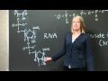 RNA and Protein Structure Concepts