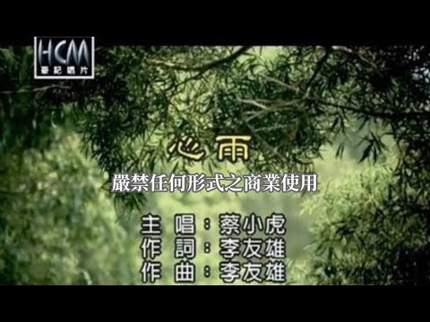蔡小虎-心雨(官方KTV版)