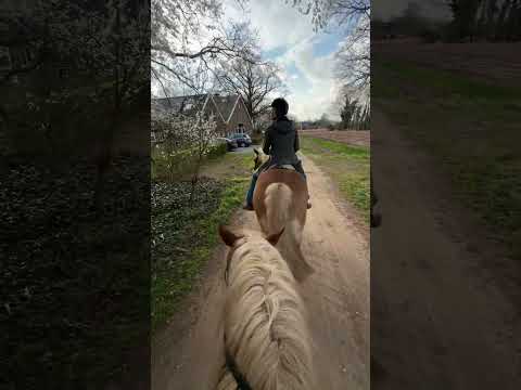 Mom & Shilas | Me & Rede #horses #riding #horseriding
