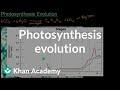 Photosynthesis and Its Impact