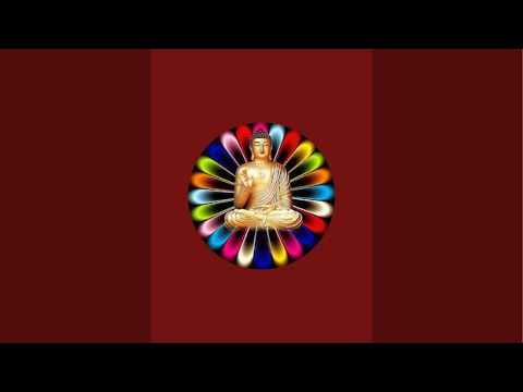 Chân Lý Phật Giáo | Đường Về An Lạc | Chú Tiểu Official