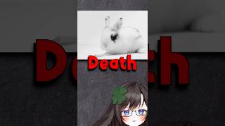Huge deadly rabbit myth!!