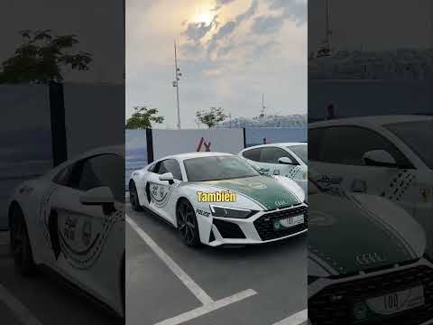 ¿Por qué la policía de Dubái utiliza coches de millones?