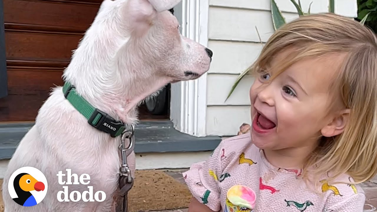 2-Year-Old Girl Convinces Her Mom To Adopt A Deaf Puppy Adoption Day