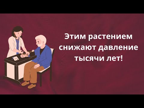 Более тысячи лет это растение применяют для лечения гипертонии!