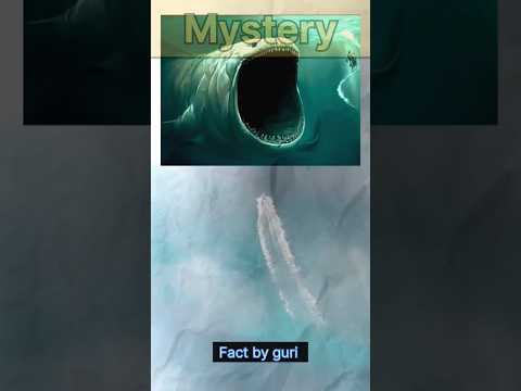 Mysteries That Will Never Be #science #trending #shortsSolved #facts #sciencefacts#youtubeshorts