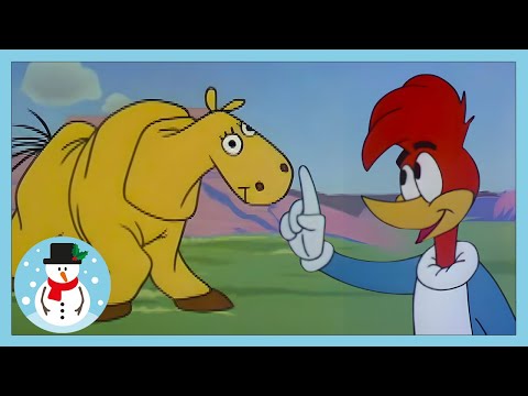 Woody Woodpecker Confronta o Cavalo Falso! | Boas Festas | WildBrain Português