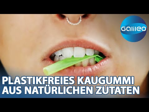 Forest Gum: Plastikfreies Kaugummi aus natürlichen Zutaten