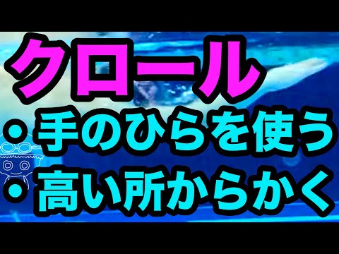 【クロール】頑張っても前に進めない【簡単なコツ・テクニック】※言うのは簡単！