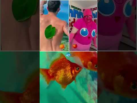 #duet #funny #comedy #kikakim #kikakim #<strong>abcd</strong> #ytshorts #reaction #3695 #<strong>trend</strong> #usa #noads #edit