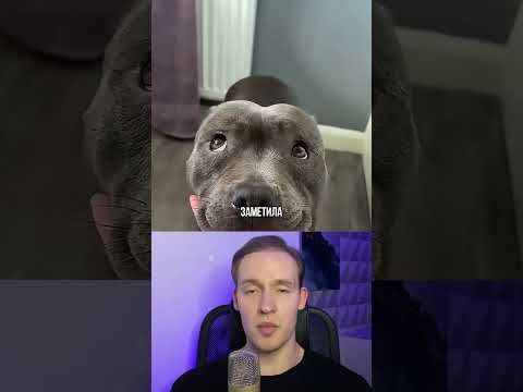 Реакция Собаки На Своих Щенят ❤️