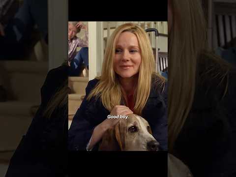 Dogs are man's best friend.#movie #shorts