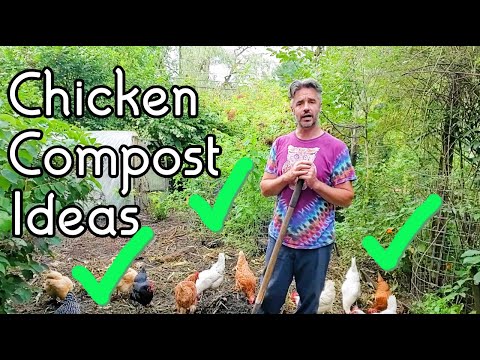 Chicken Composting Ideas - Sticks and Stones can make great homes!