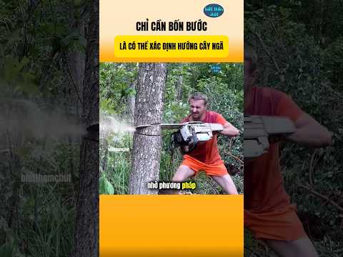 Chỉ Cần Bốn Bước Là Có Thể Xác Định Được Hướng Cây Ngã | Biết Thêm Chút #nhungsuthatthuvi
