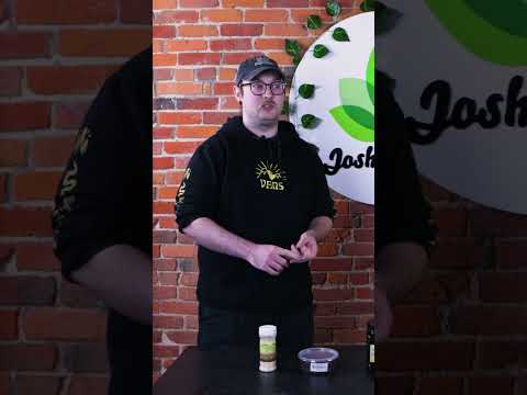SPRINGTAILS Tips & Tricks! 