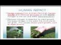 Nitrogen Cycle and Its Impact