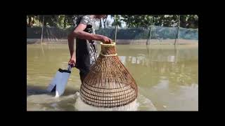 Unique Underwater Fishing | Best Fish Catching | Best Fishing Video | Polo Fishing #12