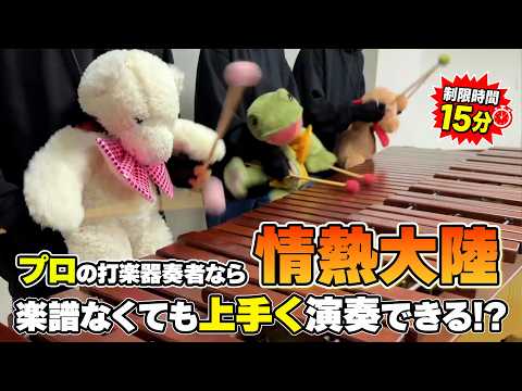 【検証&ドッキリ】プロの打楽器奏者なら「情熱大陸」楽譜なくてもすぐに演奏できるはず!?【ぬいぐるみマリンバ】