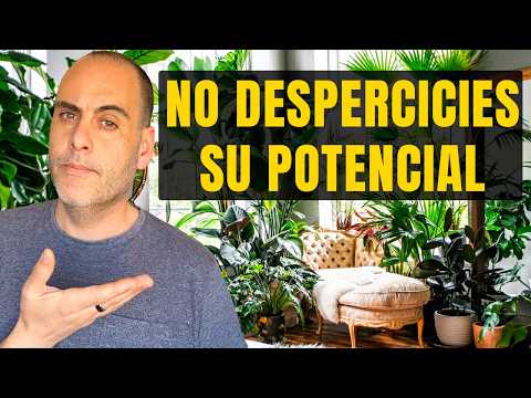 10 razones que no sabías para tener plantas en casa