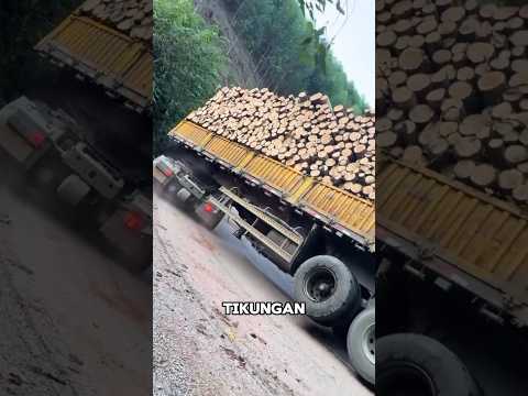 DETIK - DETIK TRUK BERMUATAN KAYU INI TERGULING SAAT MELEWATI TIKUNGAN YANG CURAM #shorts