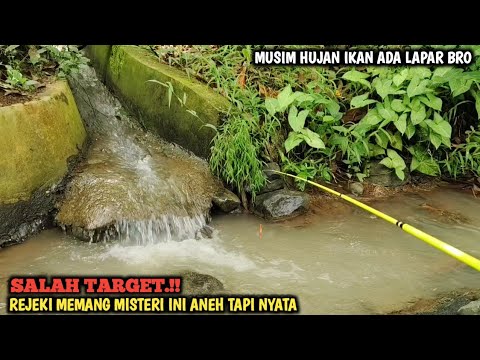 GACOR.!! NIAT MANCING IKAN LELE SEHABIS HUJAN GAK NYANGKA STRIKE BERKALI KALI IKAN FAVORIT BRO