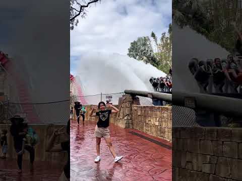 Montanha-russa SheiKra do Busch Gardens Tampa #parquedediversoes #adrenalinejunkie #themepark
