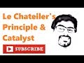 Catalysts and Reaction Dynamics