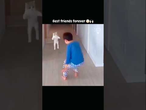 Best friend forever #short #cat