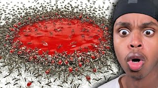 1,000 Mosquitos VS Blood