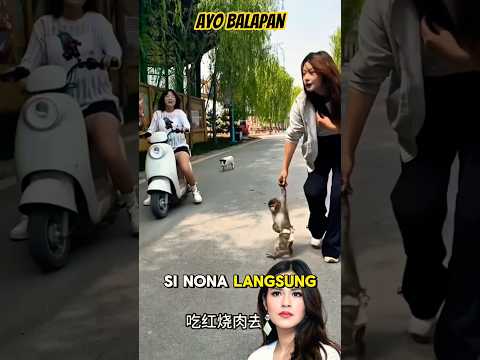 Balapan Gokil! Cewek Naik Motor, Monyet Malah Naik Babi!