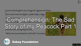 Comprehension: The Sad Story of my Peacock Part 1