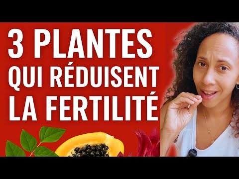 Ces 3 plantes peuvent bloquer ta fertilité (sans que tu le saches) !!!